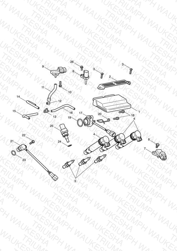 Engine Management System