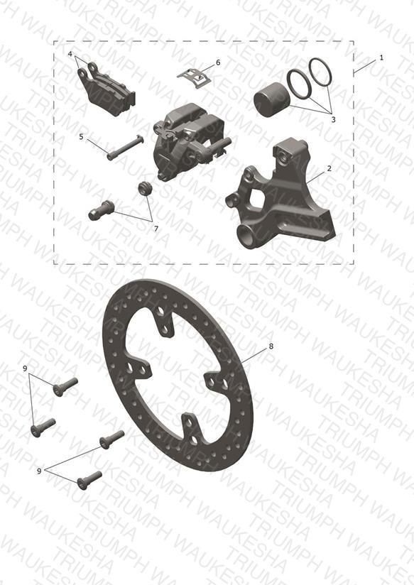 Rear Caliper & Disc