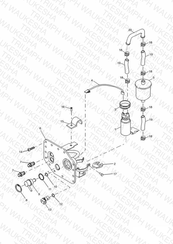 Fuel Pump and Filter 72717 »