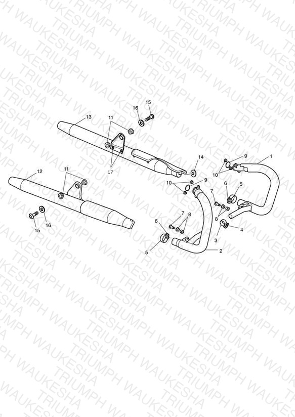 Exhaust System
