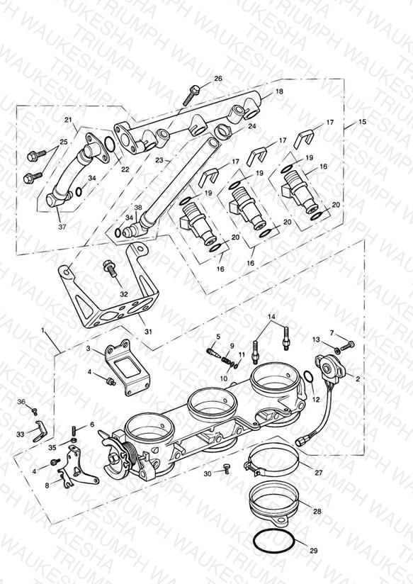 Throttles/Injectors and Fuel Rail > 207554