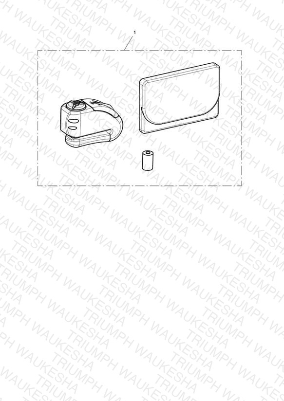 Disc Lock, Alarm