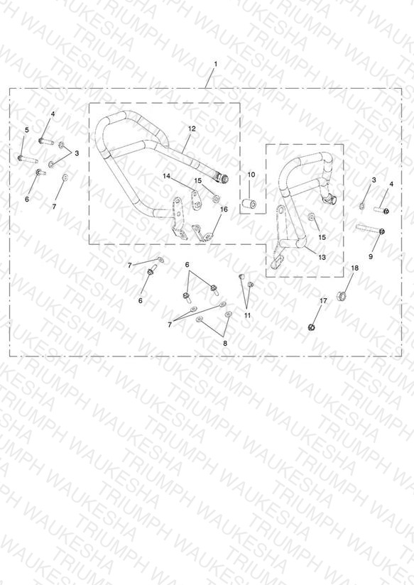Fuel Tank Pro Bars Kit, SS