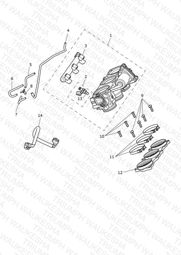 Throttles, Injectors and Fuel Rail