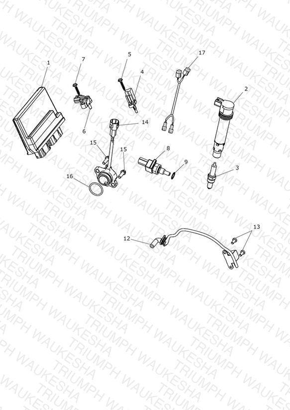 Engine Management System