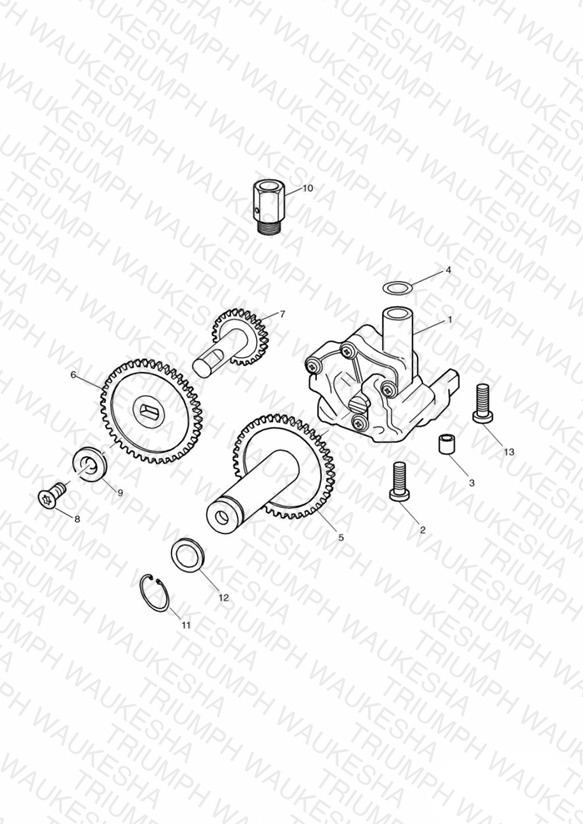 Oil Pump/Drive