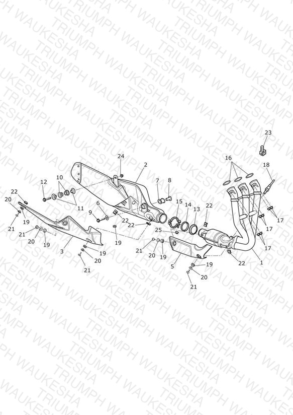 Exhaust System