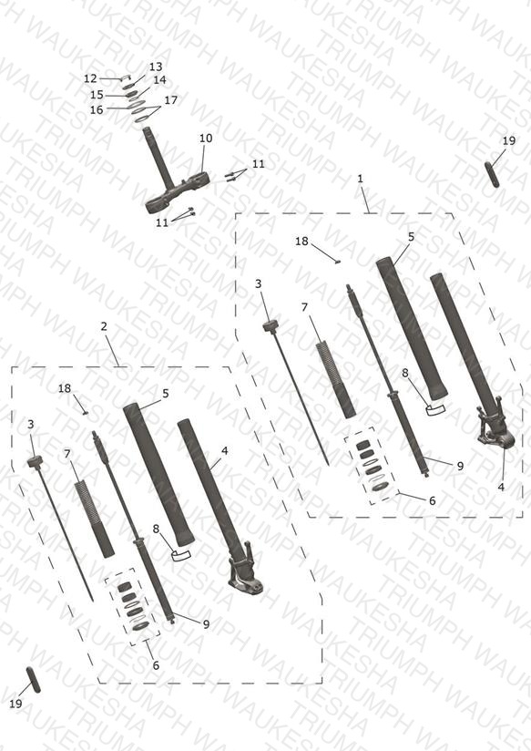 Front Forks & Lower Yoke Assy