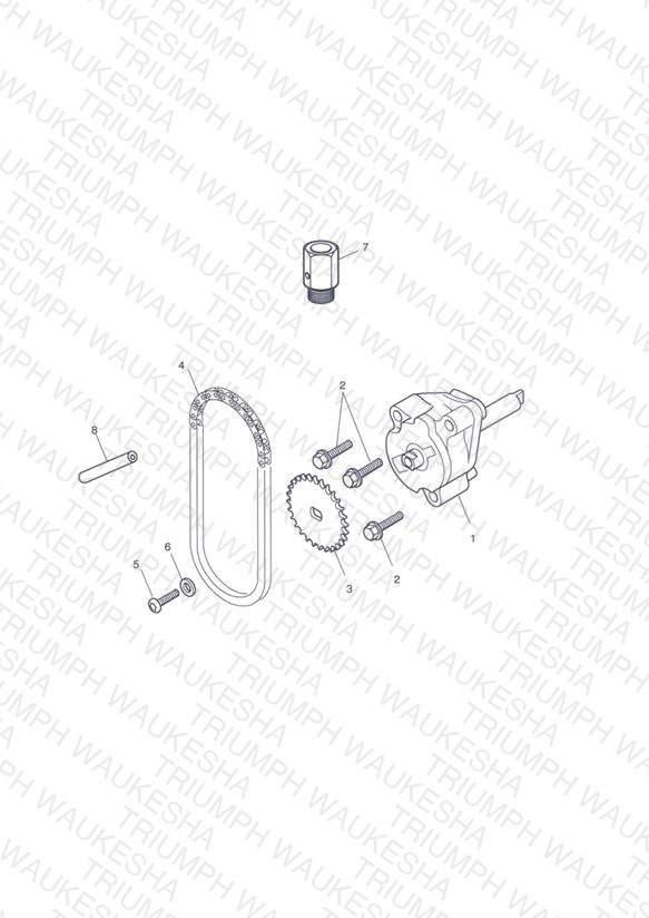 Oil Pump & Drive