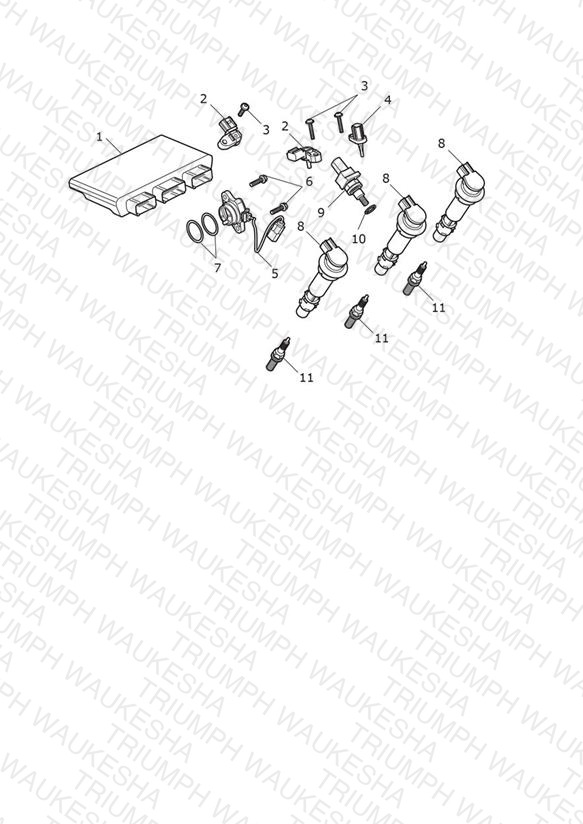 Engine Management