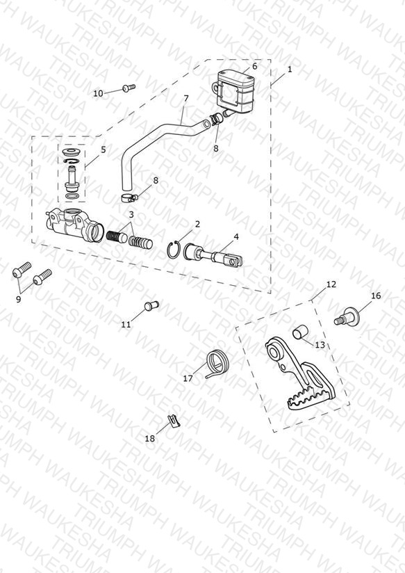 Rear Brake Master Cylinder, Reservoir & Pedal