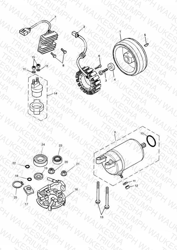 Starter & Alternator