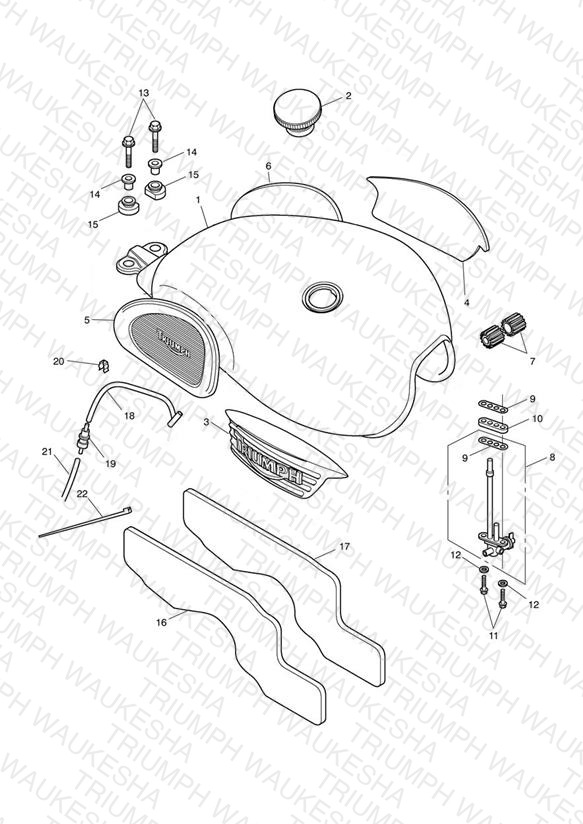 Fuel Tank & Fittings-Bonneville T100 317247>