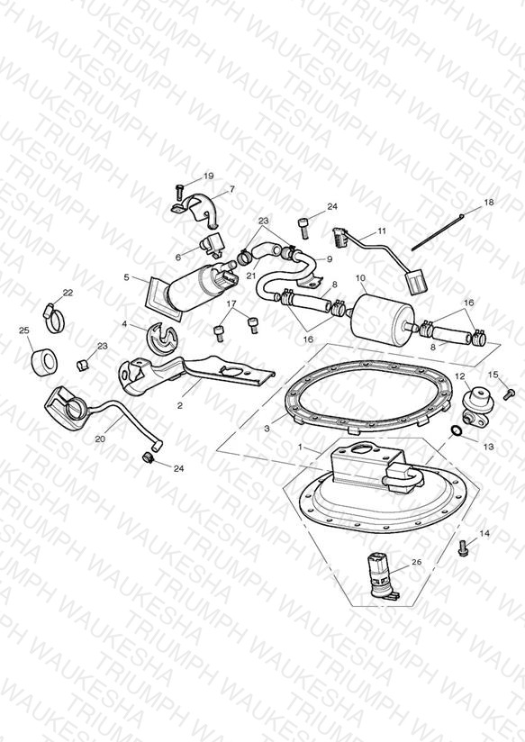Fuel Pump & Fittings