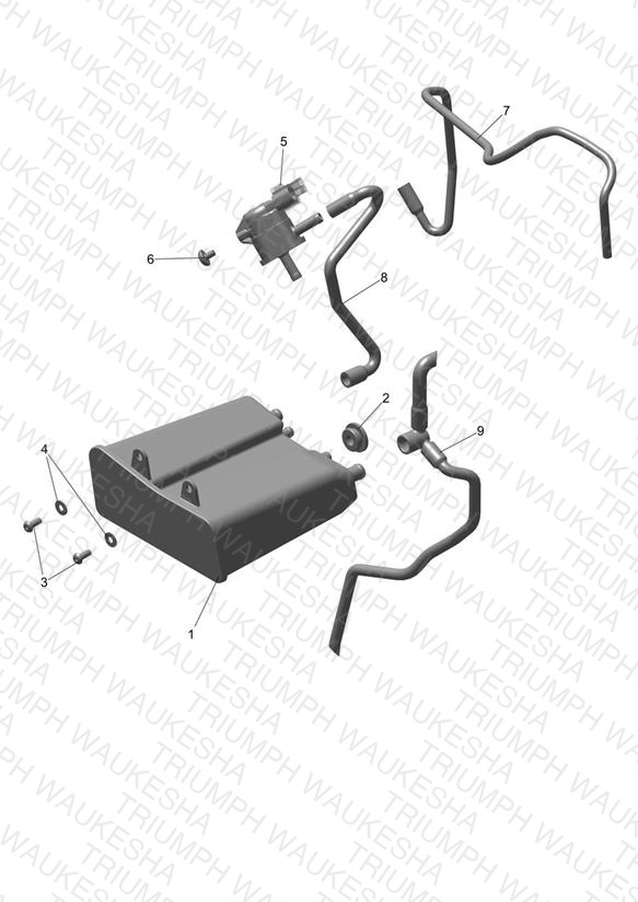Evap System