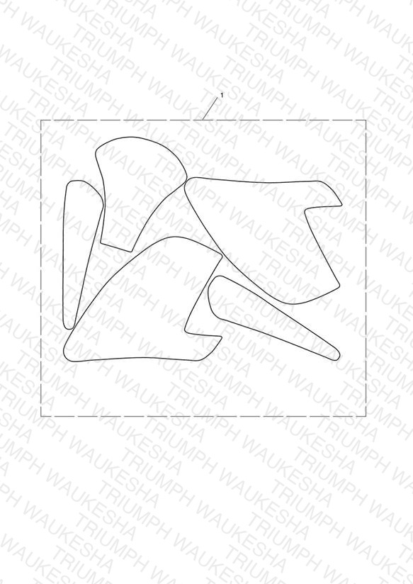 Paint Protection Kit, Matt