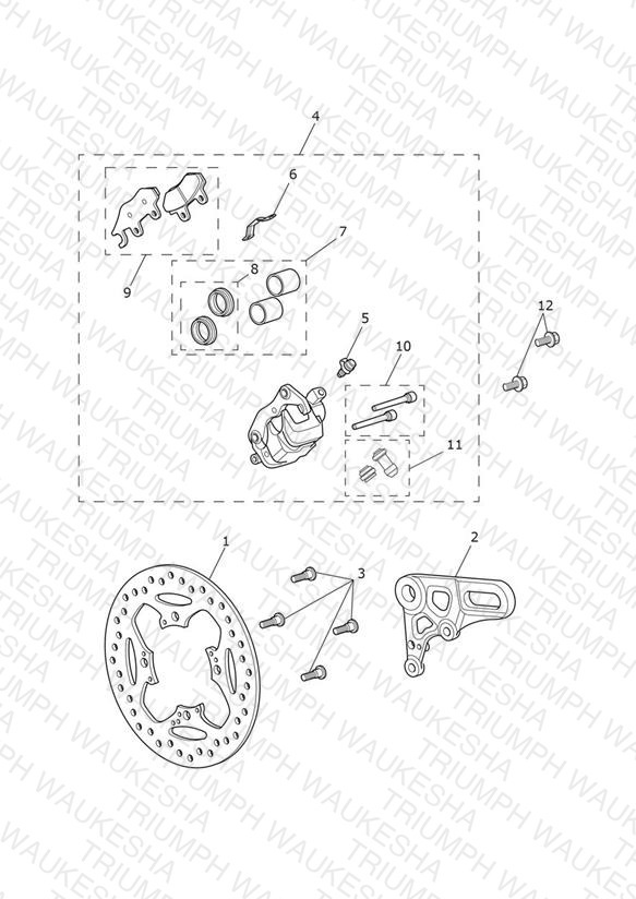 Rear Brake Caliper & Disc