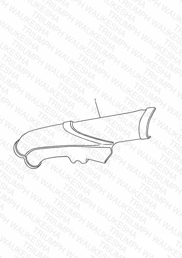 Frame Protector Kit, Carbon Fibre Look