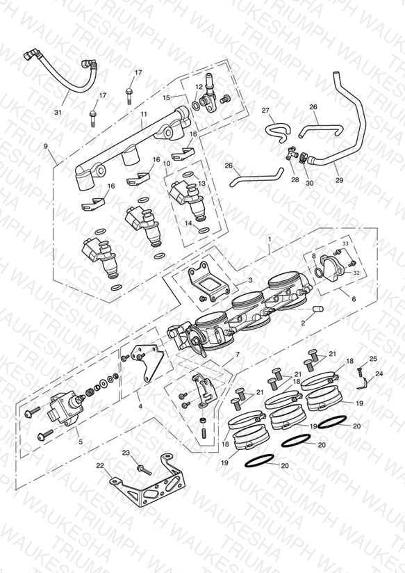 Throttles, Injectors and Fuel Rail