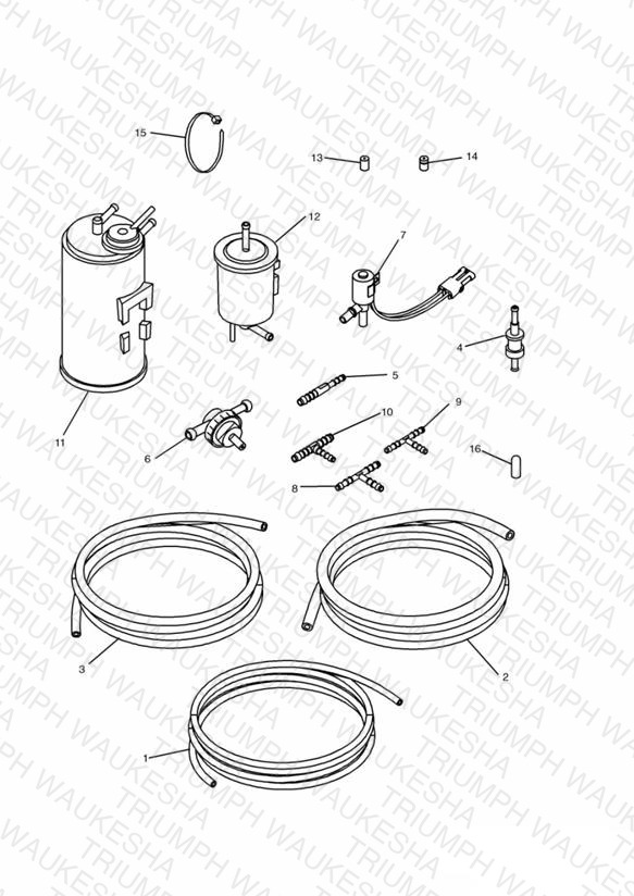 Evaporative Loss Equipment 4 Cyl (US California Models Only)