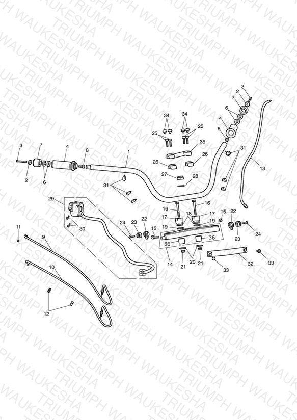Handlebars & Switches