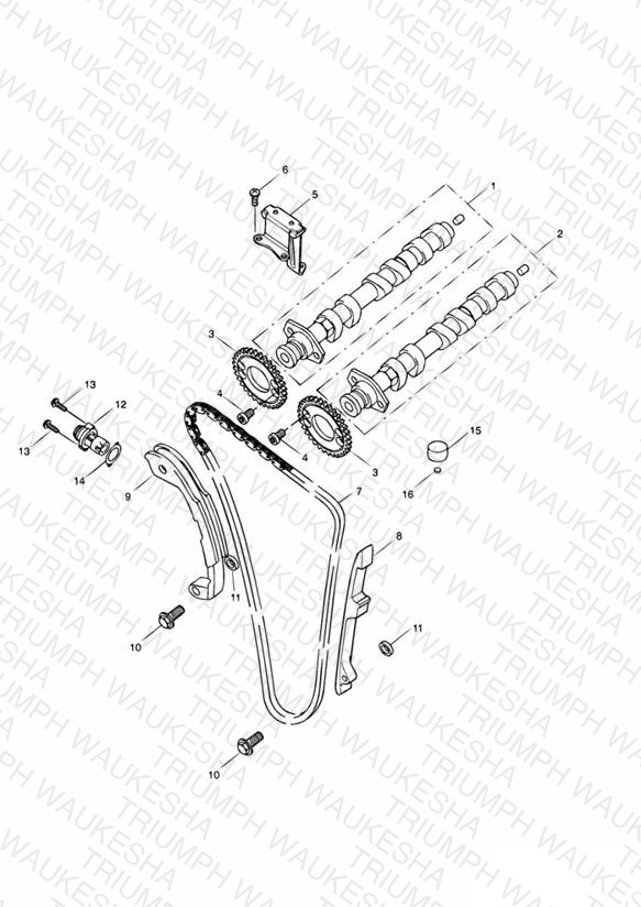 Camshaft and Drive