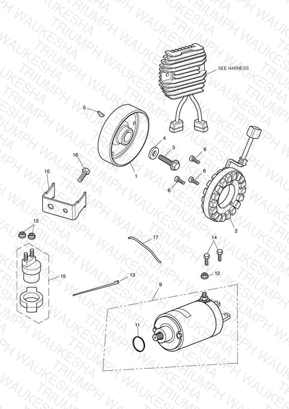 Starter & Alternator