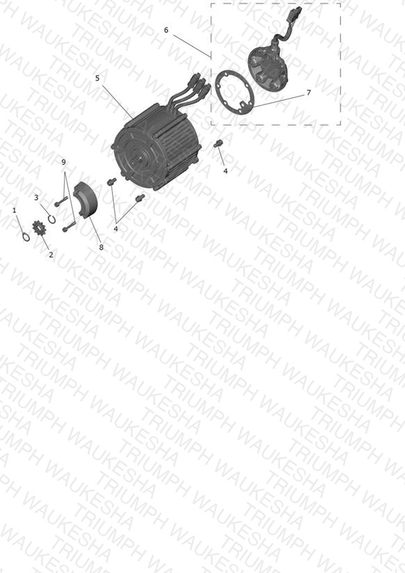 Motor