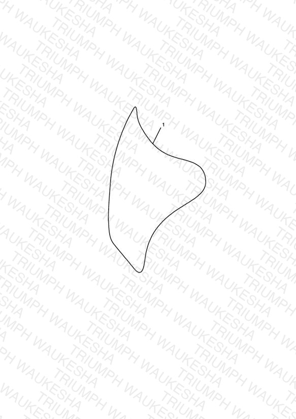 Tank Pad, Carbon Fibre