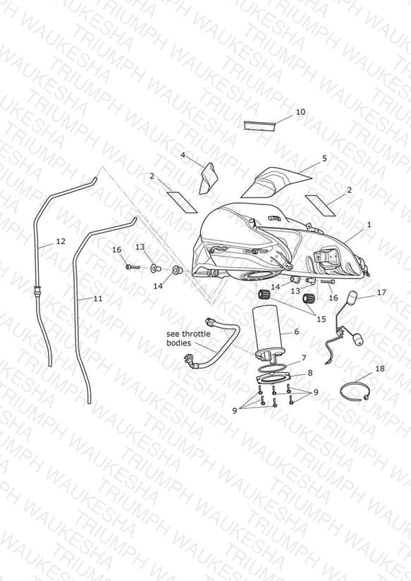 Fuel Tank, Fuel Pump & Fittings