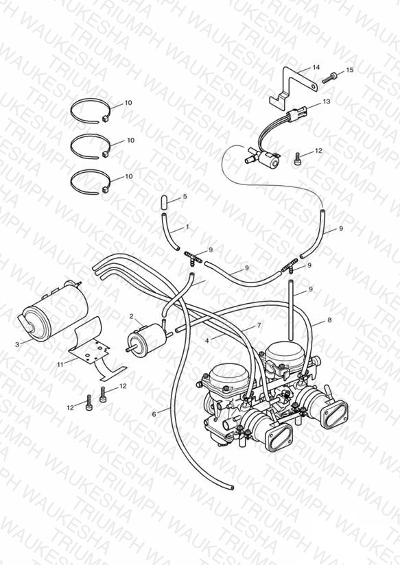 Evaporative Loss Control System California only - Bonneville > Eng No 255908 & T100 > 210261