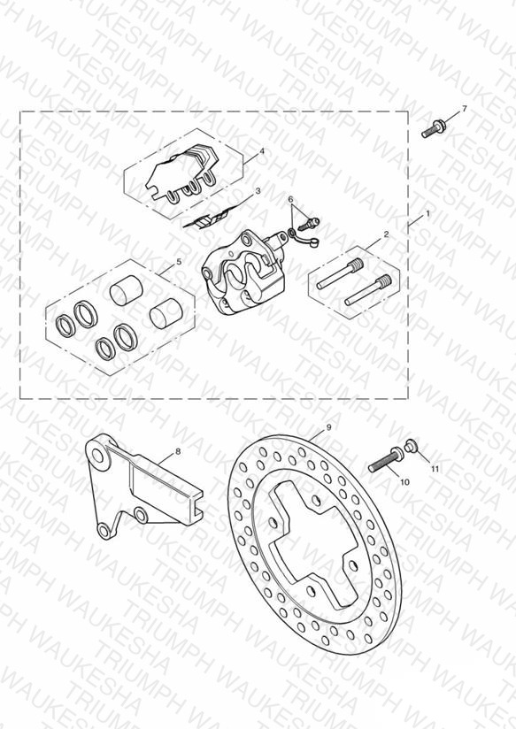 Rear Brake Disc and Caliper