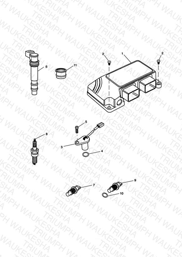 Engine Management System