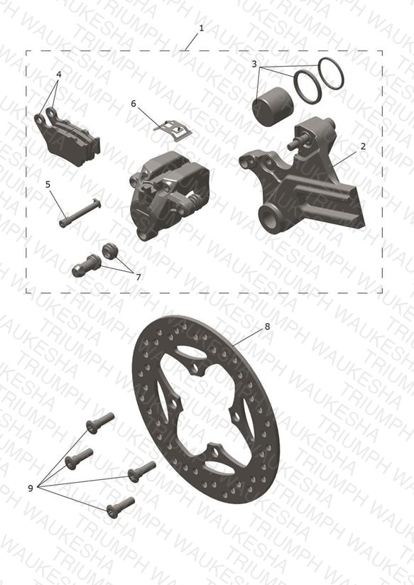 Rear Caliper & Disc