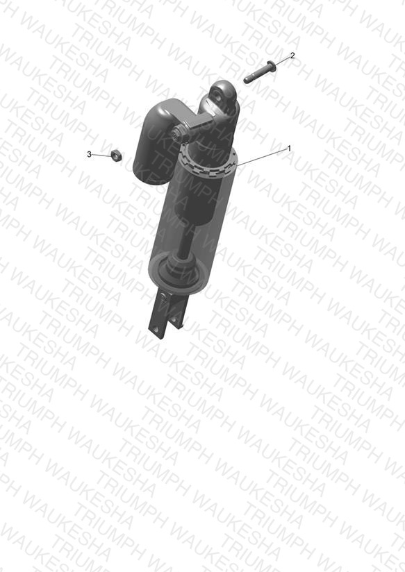 Rear Suspension Unit