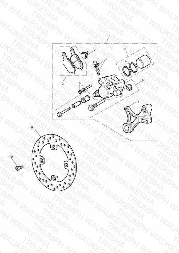 Rear Brake & Disc
