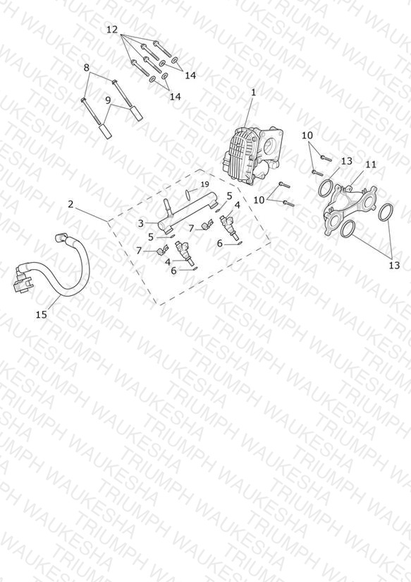 Throttle Bodies