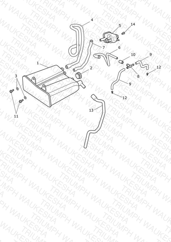 Evap System