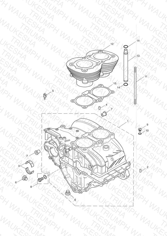 C/case & Fittings - Bonny T100 > Eng No 221608 (+ Eng No's 229407 > 230164)