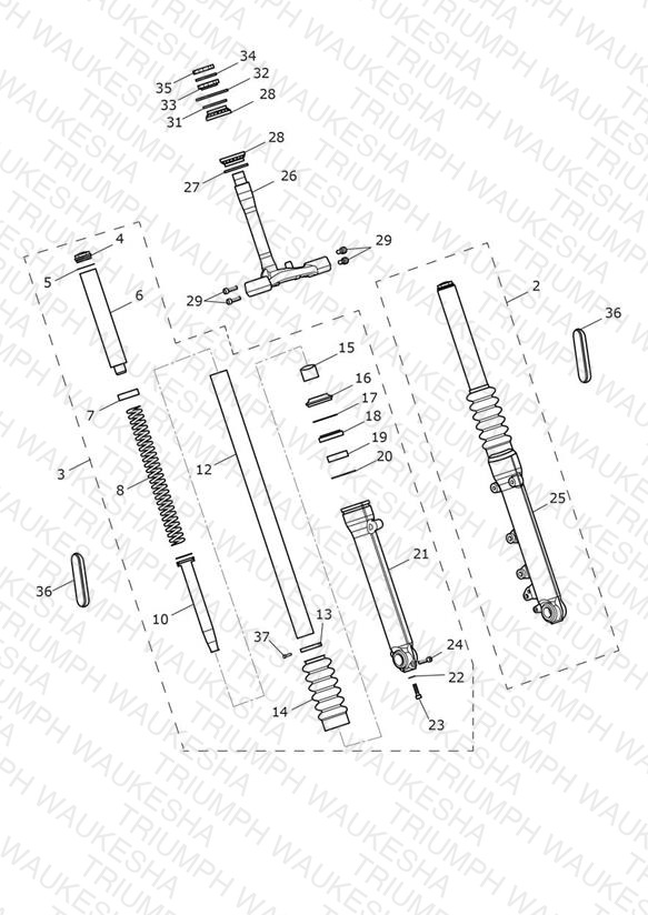 Front Forks & Lower Yoke