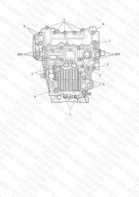 Crankcase Bolts