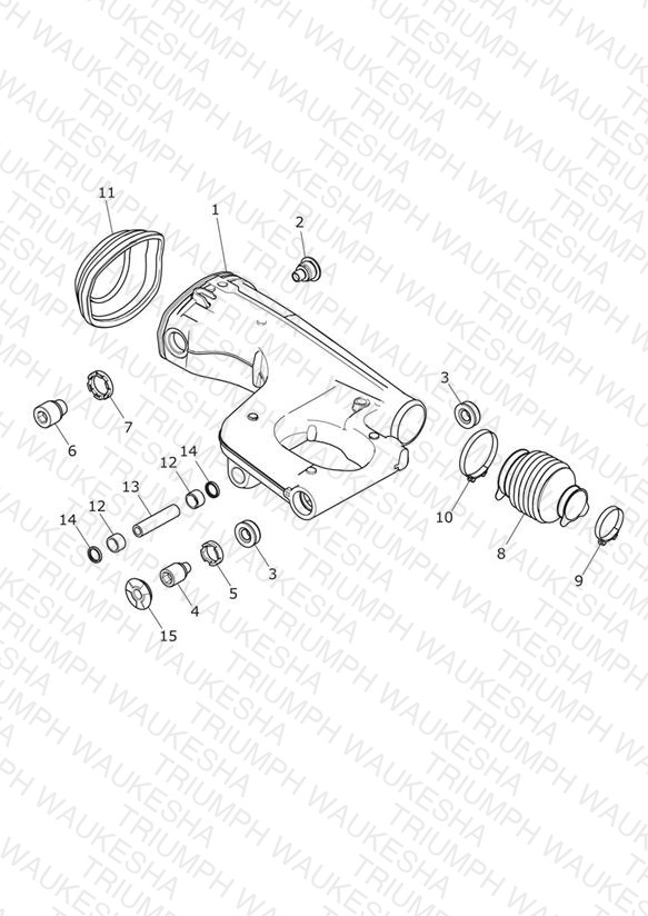 Rear Swingarm