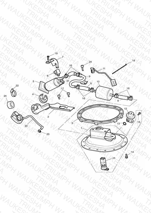 Fuel Pump & Fittings
