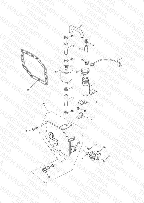 Fuel Pump and Filters 207555 >