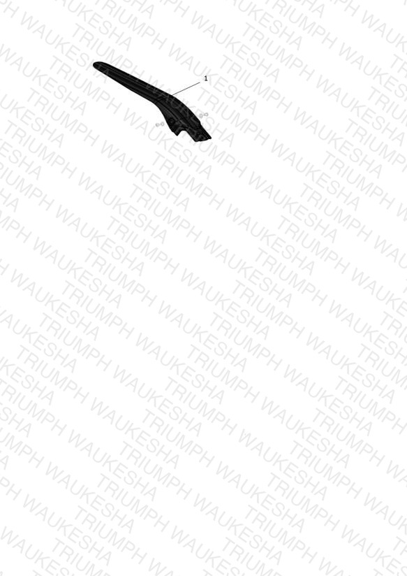 Rear Mudguard