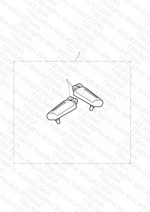’Chrome Line’ Rider Footpegs