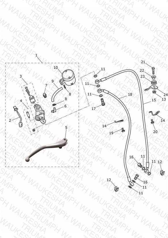 Front Brake Master Cylinder & Hoses - Daytona 675R Only