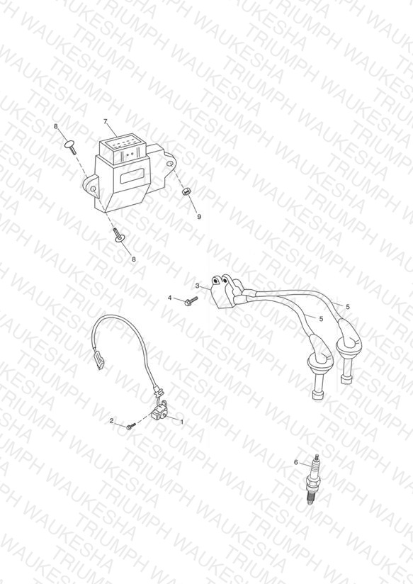 Ignition System - Bonneville T100