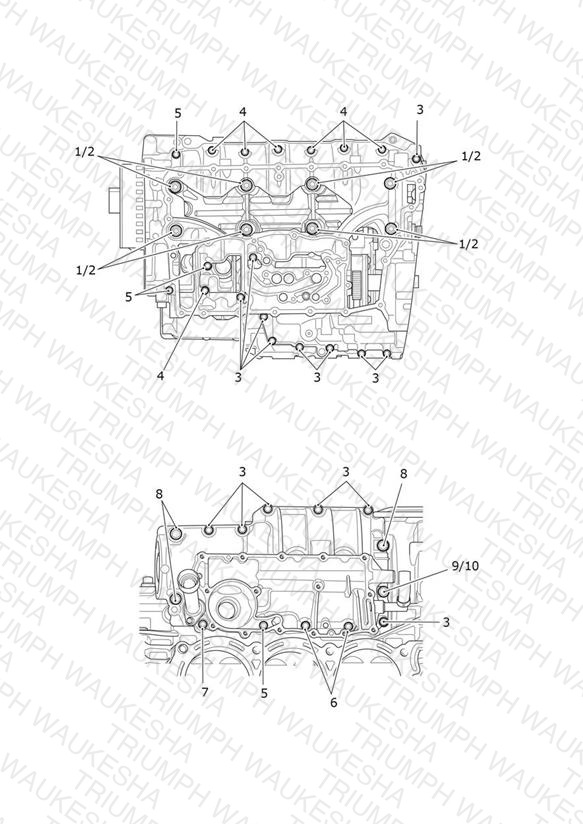 Crankcase Bolts