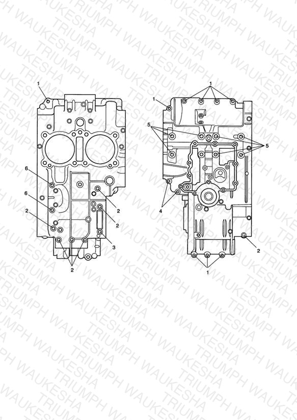 Crankcase Bolts